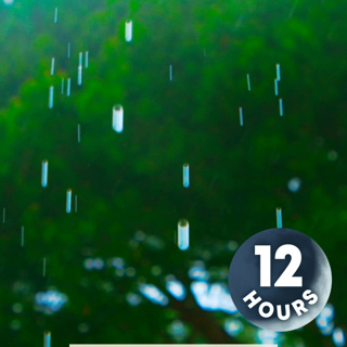 12 Hours Relaxing Summer Rain Sounds for Sleep & Stress Relief