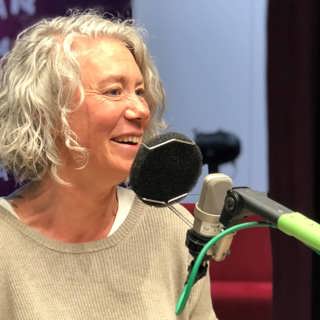"Sverige skiljer sig alltid från andra länder"