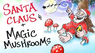 The Magic Mushroom Christmas Theory | After Skool