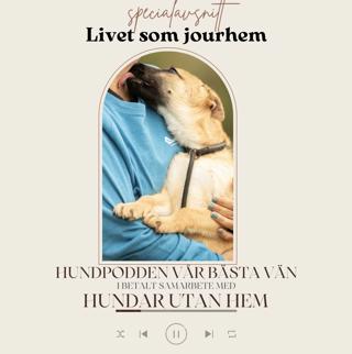 Livet som jourhem