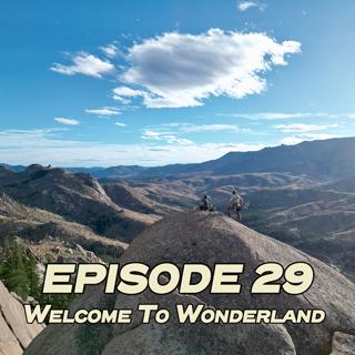 29: Welcome to Wonderland - New Age Development with Tal Wanish