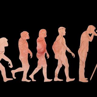 Vetenskapen är som den manliga bröstvårtan