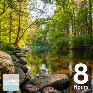 Calming Stream Sounds (8 Hours) | Relaxing Nature Sounds to Help Focus