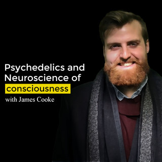 Psychedelics and neuroscience of consciousness with James Cooke