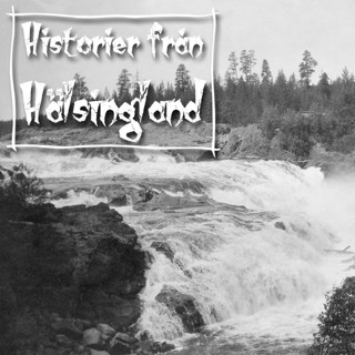 Laforsens uppgång och fall