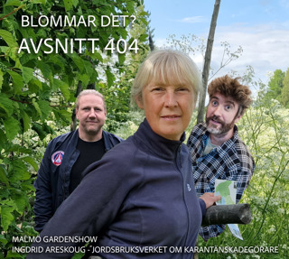404 Malmö gardenshow och Ingrid om karantänskadegörare