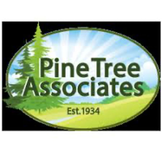 Ep. 99 - Nude and Athletic at "Pine Tree Associates" - MATT DELL
