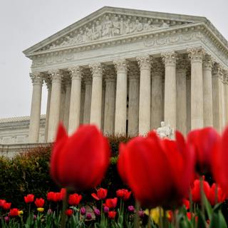 A National "Reset": How The Supreme Court Just Shook Up The Midterms