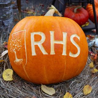 Halloween in the Garden: From Bats to Deadly Blooms
