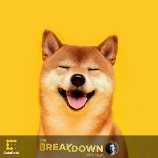 BREAKDOWN: 14 Takes on Shiba Inu Coin