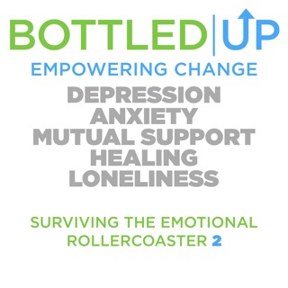 Part 2 - Surviving the emotional rollercoaster