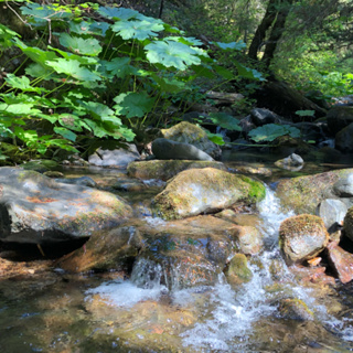 Episode 49: Butcherknife Creek