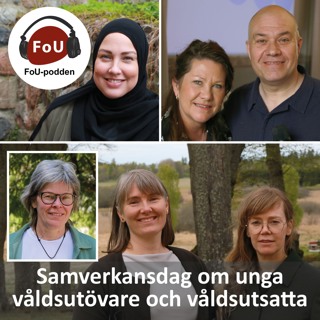 107, Våldsutövare och våldsutsatta i ungas parrelationer