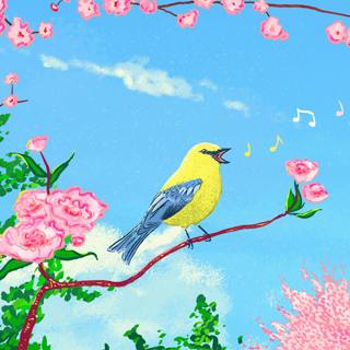Bird Translation Guide: Decoding Tweets, Hoots, & Warbles