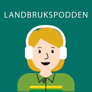Senterpartiet om rollen som vaktbikkje for norsk landbruk