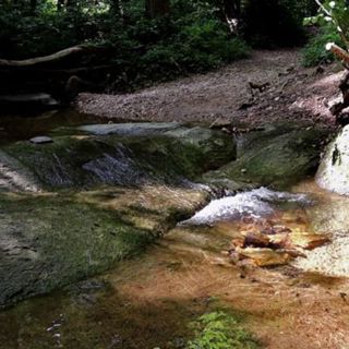 Lush Calm Waterfall - 10 Hours Sleep Sound