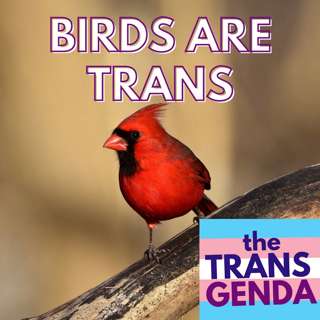 Birds Are Trans
