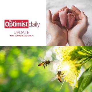 Understanding Birth Choices and Encouraging Pollinators