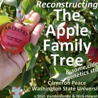 263: Apple Identification and Genetics