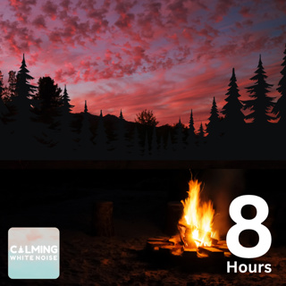 Forest Campfire Ambience (8 Hours) | Sound of Summer Nights for Sleep and Relaxation