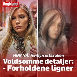 Høiby-saken: Voldsomme detaljer fra Frogner-kvinnen: - Ser et mønster