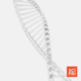 65 Genomes Expand Our Picture Of Human Genetics