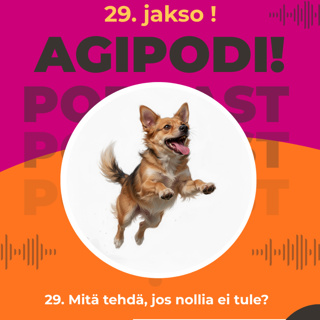 29. Mitä tehdä, jos nollia ei tule?