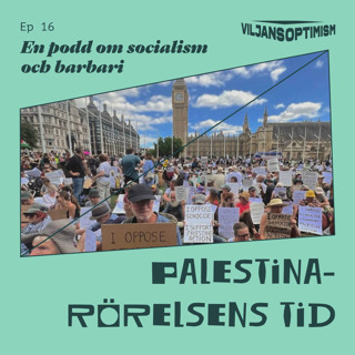 16. Palestinarörelsens tid