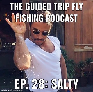 Ep. 28: Salty