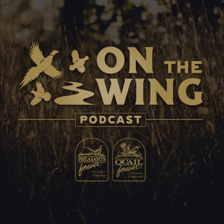 EP. 307: Indiana on the Rise