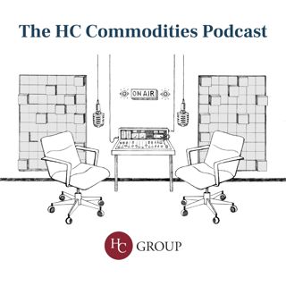 Commodities: A View from Wall St with Shaia Hosseinzadeh
