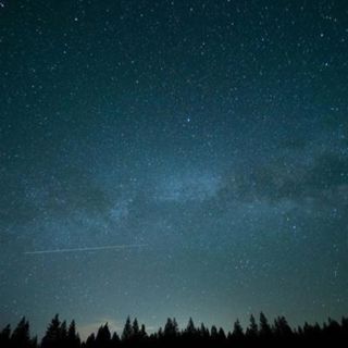 Summer Crickets and Katydids - 10 Hours Sleep Sound