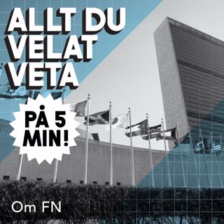 5 minuter om FN