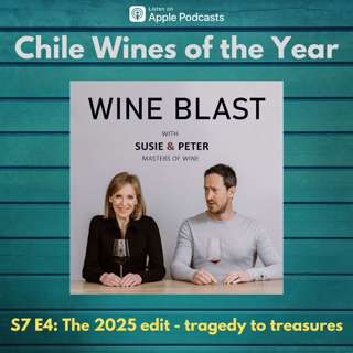 Chile Wines of the Year 2025
