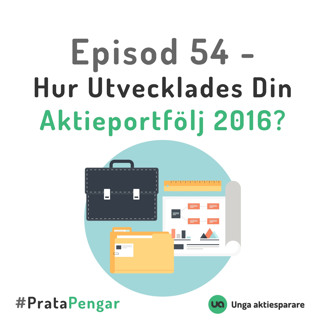 Episod 54 - Hur utvecklades din aktieportfölj 2016?