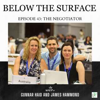 #43 The Negotiator