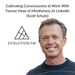 Raising Consciousness at Work With Former Head of Mindfulness At LinkedIn Scott Shute