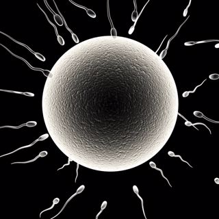 What’s Science Got to Do With Love?