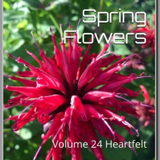 Spring Flowers Volume 23 Heartfelt by Daniel Lucas