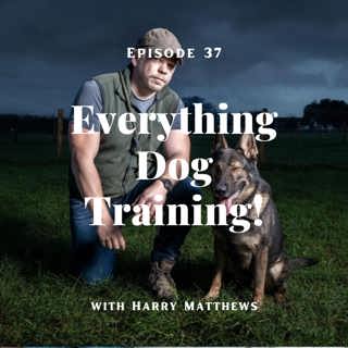Episode 37 - with guest Harry Matthews