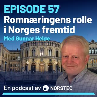 Romnæringens rolle i Norges fremtid