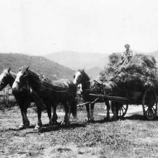 Ep 6: The Farm Mudgegonga _ History
