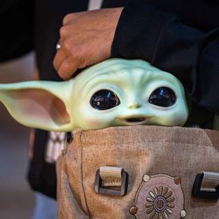 A wacky merchandise quiz