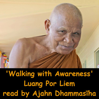 Walking with Awareness | Luang Por Liem's Guide for Walking Meditation | Ajahn Dhammasiha | Cankama