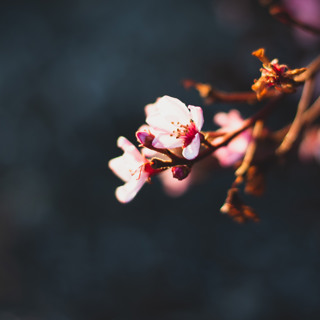 To Stop the Estrangement Between Us