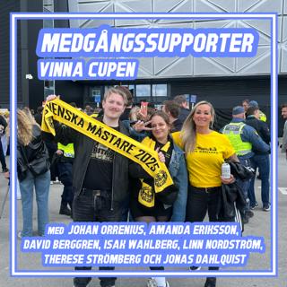 Vinna cupen