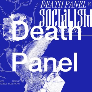 Trans Care in the Age of Health Fascism (DP x S26)