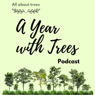 A Year with Trees
