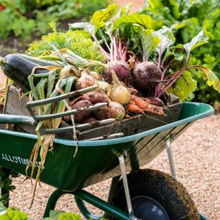 Grow Your Own in 2025