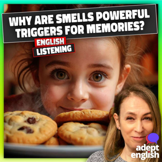 How to Speak About Smells in English-Even If You Are Busy Ep 781